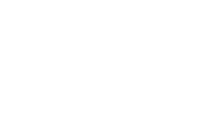 Logo White